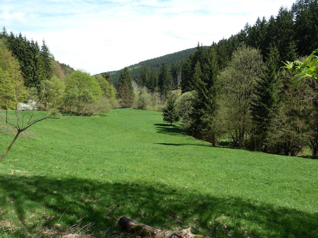 Ferienwohnung Bradsch Ilmenau Szoba fotó