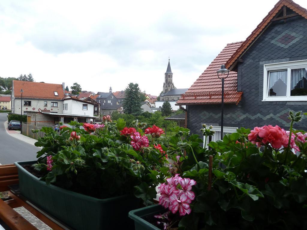 Ferienwohnung Bradsch Ilmenau Kültér fotó